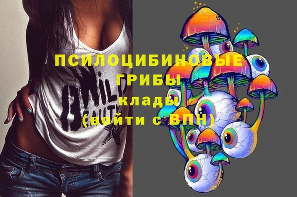винт Алзамай