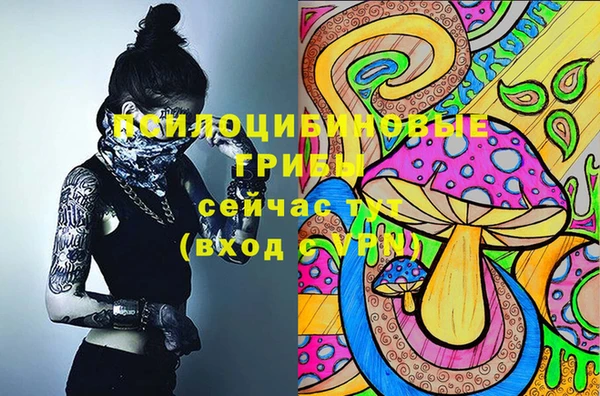 винт Алзамай