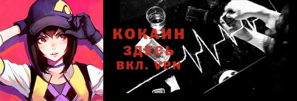 винт Алзамай