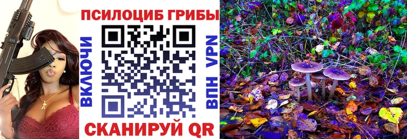 Галлюциногенные грибы Cubensis  Заозёрный 
